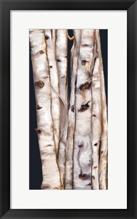 Framed Birch Tree III Print