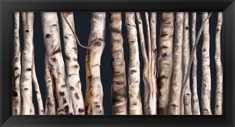 Framed Birch Grove III Print