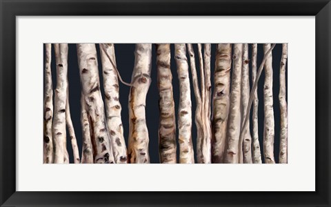 Framed Birch Grove III Print