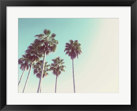 Framed Palms Against The Evening Sky Print