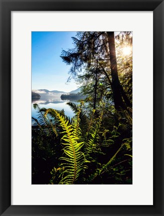 Framed Lake Side View Print