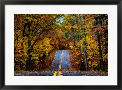 Framed Woodland Road I Print