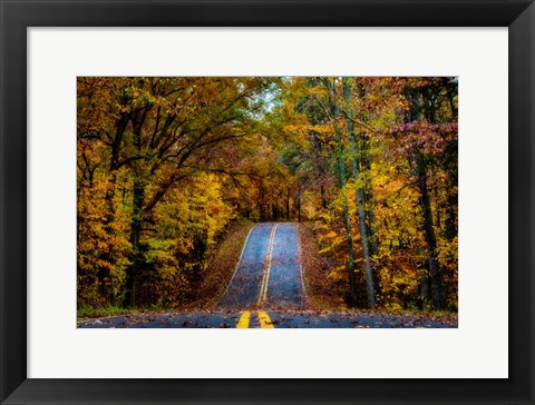 Framed Woodland Road I Print