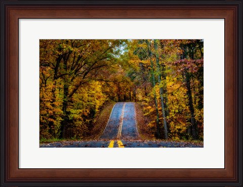 Framed Woodland Road I Print