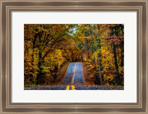 Framed Woodland Road I Print