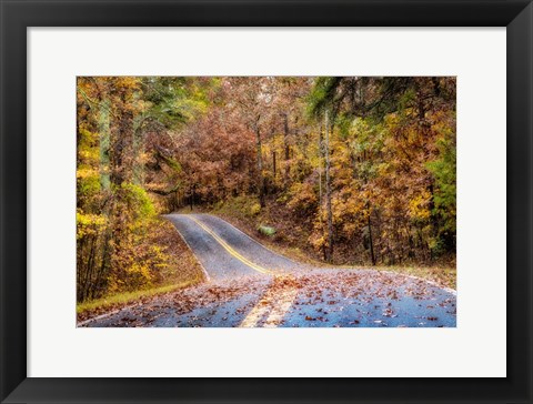 Framed Woodland Road II Print