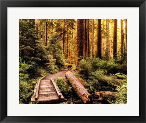 Framed Nature Hiking Trail Print