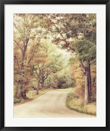 Framed Along The Path Print