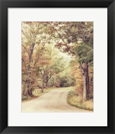 Framed Along The Path Print