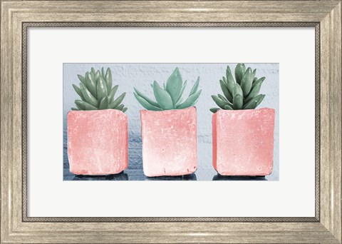 Framed Pink Potted Succulents Print