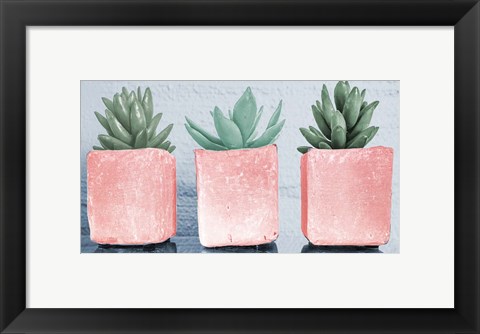 Framed Pink Potted Succulents Print