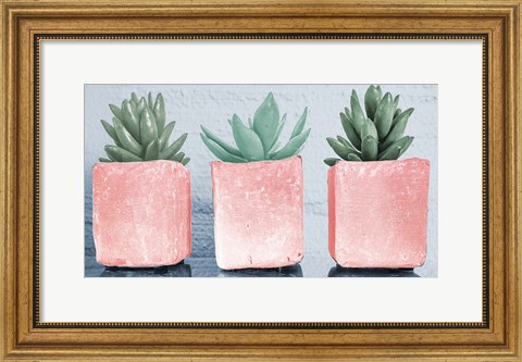 Framed Pink Potted Succulents Print