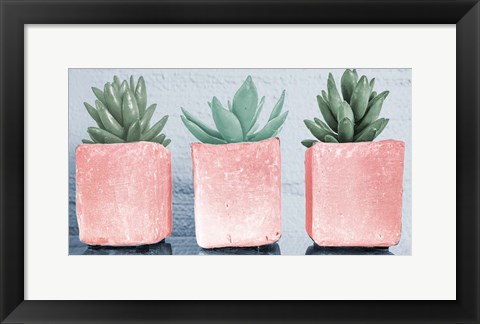 Framed Pink Potted Succulents Print