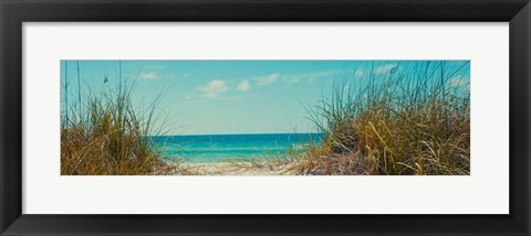 Framed Perfect Day I Print