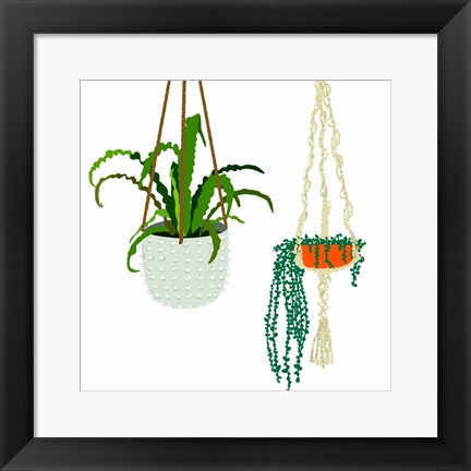 Framed Hanging Plant Duo Print