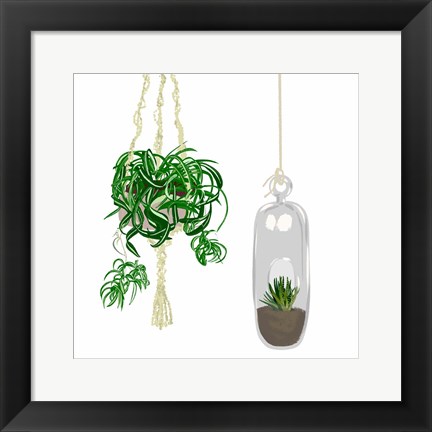 Framed Hanging Plant Set II Print