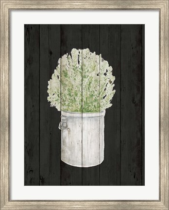 Framed Herbs on Black II Print