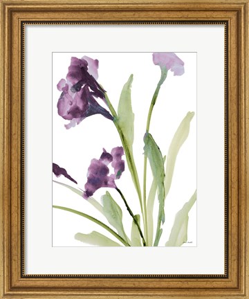 Framed Purple Belles I Print