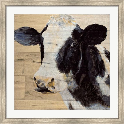 Framed Cow Print