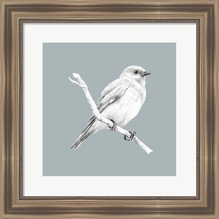 Framed Bird Study on Blue I Print