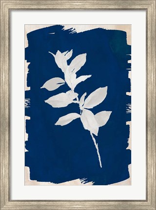 Framed White Leaf on Navy II Print