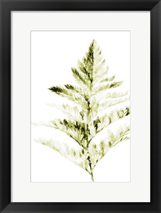 Framed Single Branch I Print