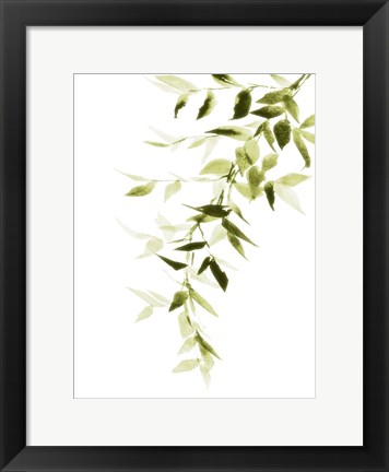 Framed Single Branch II Print