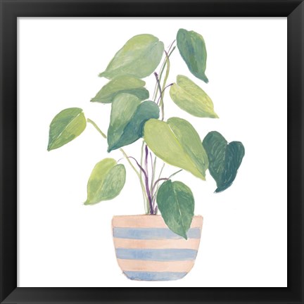 Framed Mother-In-Law Plant In Striped Pot Print