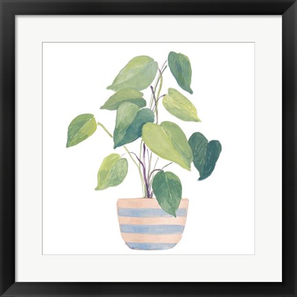 Framed Mother-In-Law Plant In Striped Pot Print