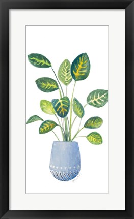 Framed Croton In Blue Pot Print