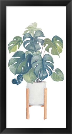 Framed Monstera Deliciosa Print