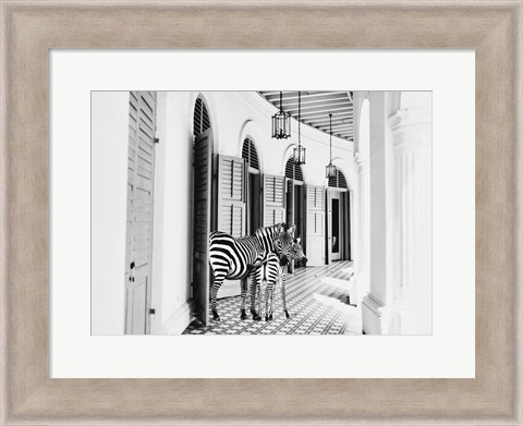 Framed Zebra Hotel Print