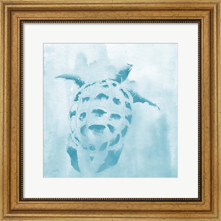 Framed Washed Teal Aquatic Turtle Print