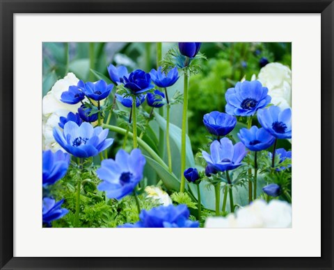 Framed Vibrant Blue Hues Print