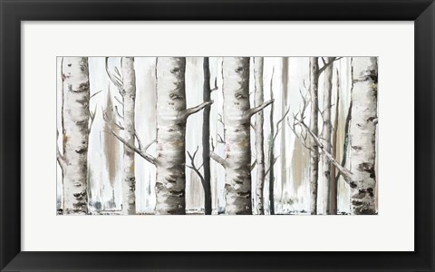 Framed White Birch Forest Print