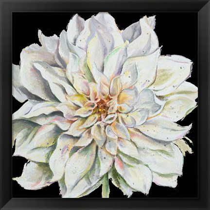 Framed Dahlia On Black Print