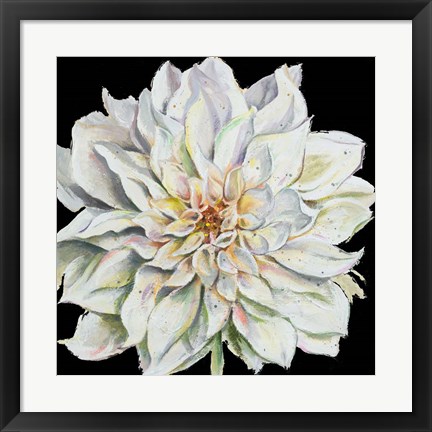 Framed Dahlia On Black Print