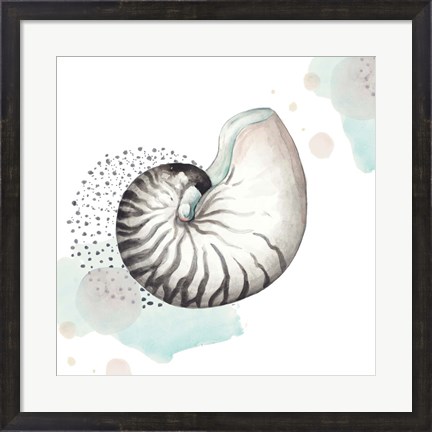 Framed Turquoise Ocean Nautilus Print