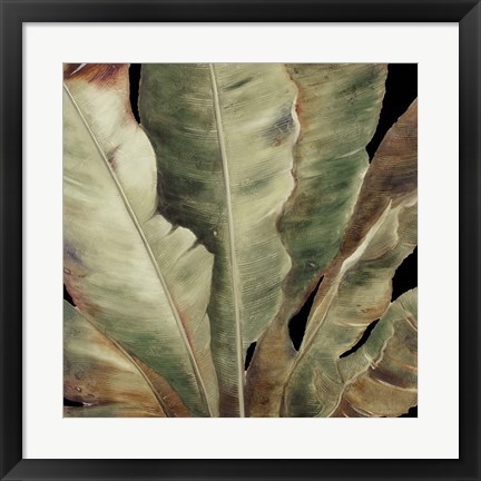 Framed Uraba Palm on Black II Print