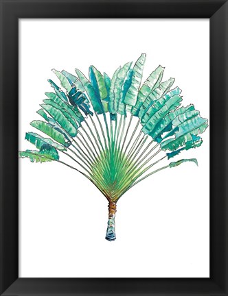 Framed Travelers Palm Print