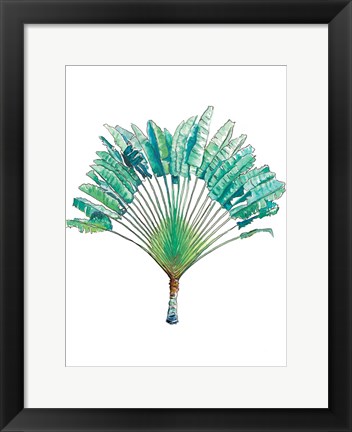 Framed Travelers Palm Print