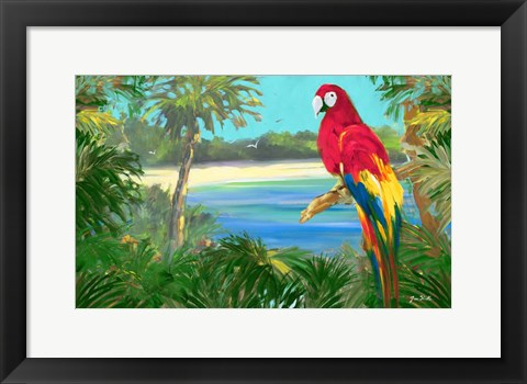 Framed Parrot By The Ocean Print