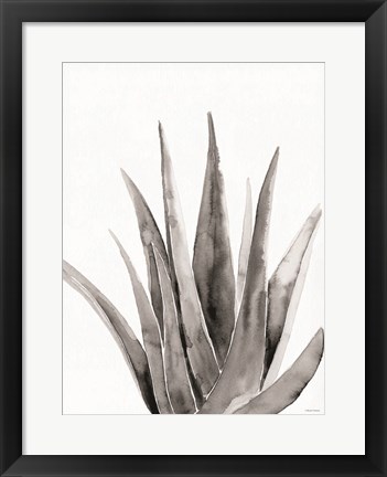 Framed Organic Botanical II Print