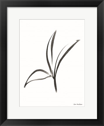 Framed Black Botanical Watercolor Print