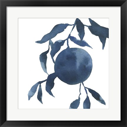 Framed Indigo Oranges IV Print