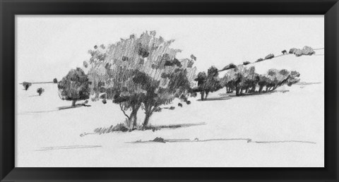 Framed Treeline Sketch I Print