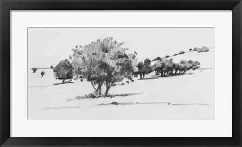 Framed Treeline Sketch I Print