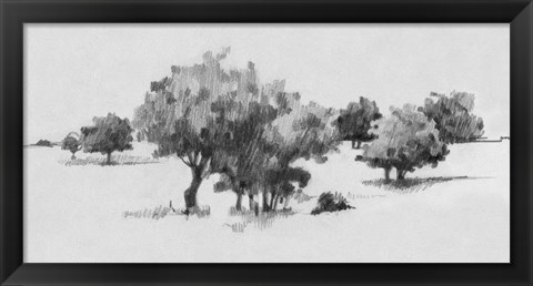 Framed Treeline Sketch II Print