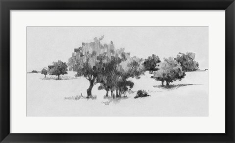 Framed Treeline Sketch II Print