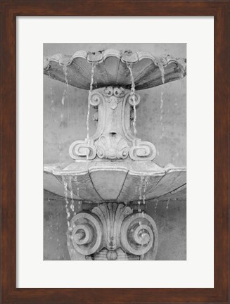 Framed Black &amp; White Fountains II Print